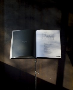 Intérieur Revue Verrue Poèmes