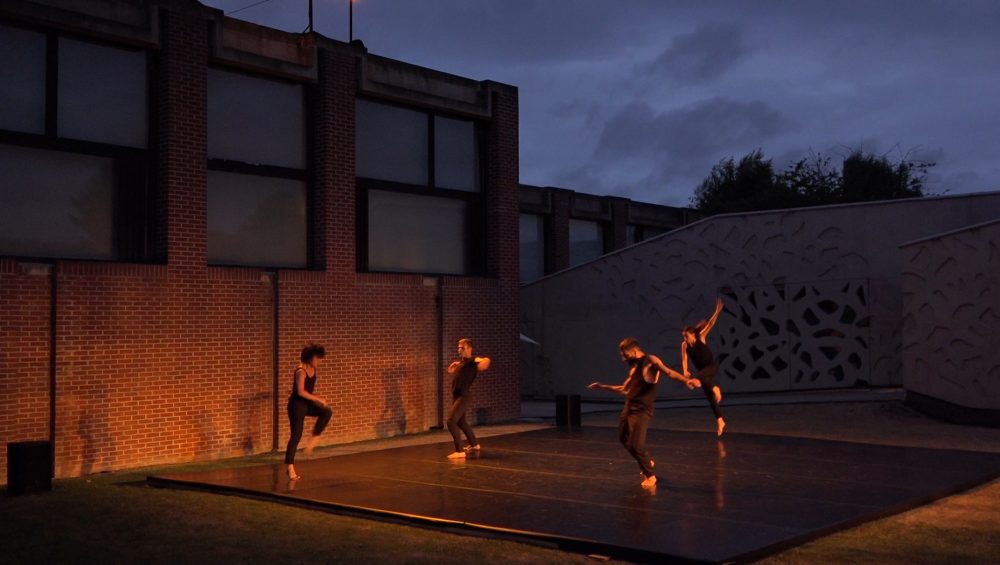 Captation | Hydre, Yuval Pick | 2017